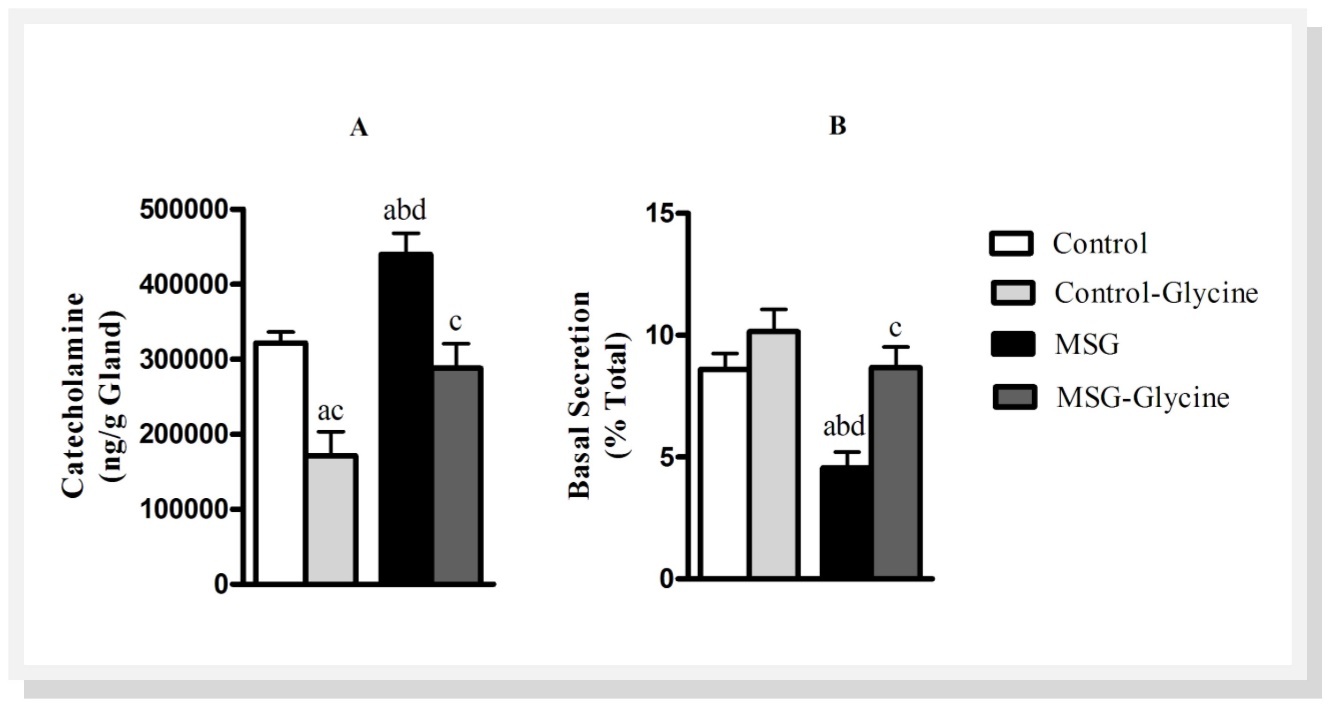 Effect of glycine intake on total catecholamine content (A) and catecholamine basal (B) secretion in MSG-obese rats. ANOVA was performed with Bonfferoni post-test (n=15). Letters over bars represent significant differences with p<0.05 between groups: a- Control; b-Control-Glycine; c-MSG and d-MSG-Glycine.