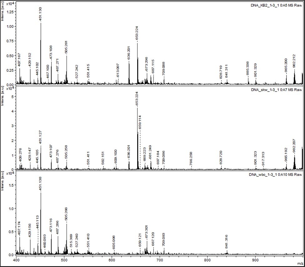 Mass Spectra (400 Da to 1000 Da) of DNA from Normal Cells and Cancer Cells