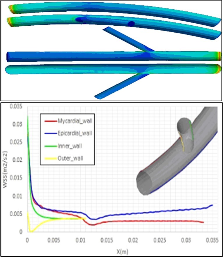 a)Contour and b)profiles of the entered shear stress by the fluid flow to the walls of a healthy artery with a static mesh using the present model.