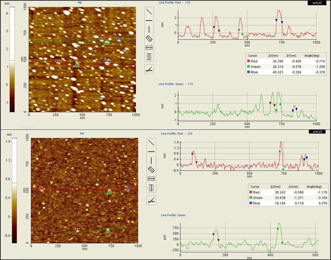 AFM topographic images of Mg0.45Mn0.55−xNixFe2O4 (0.00 ≤ x ≤ 0.55) ferrite particles