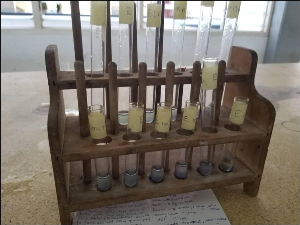 Alpha amylase activity and Inhibitory assay by Tridax procumbens extract