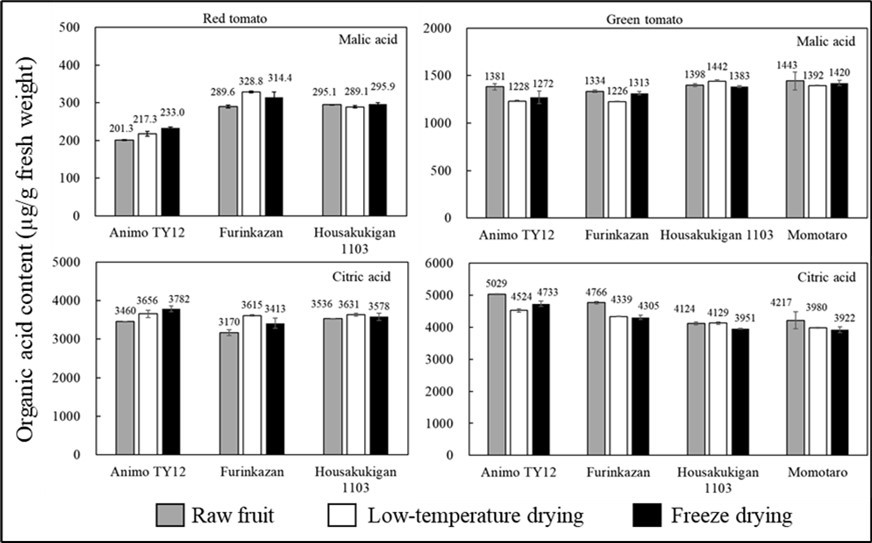 Effect of drying methods – low-temperature drying and freeze-drying – on the organic acid content of different red (mature) and green (immature) varieties of tomatoes, inconsistent trends for organic acid content were observed among the tomato varieties.