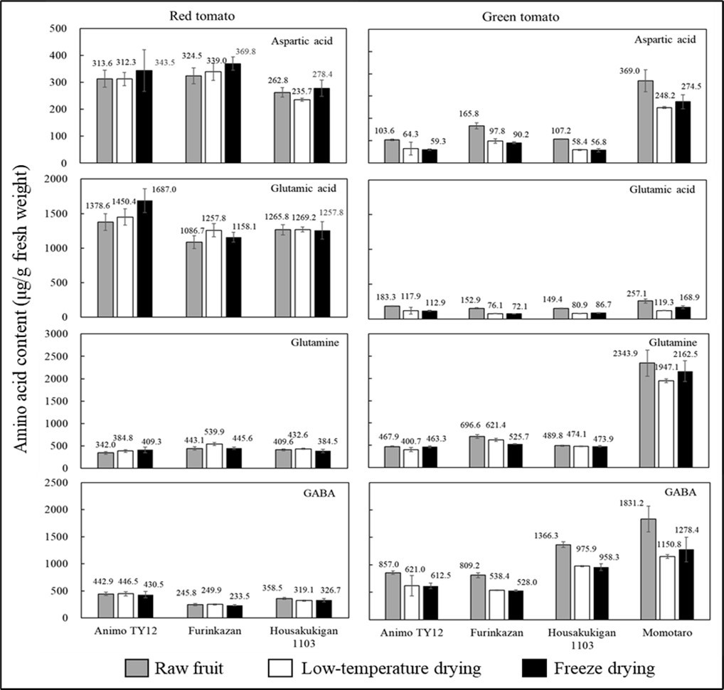 Effect of drying methods – low-temperature drying and freeze-drying – on the amino acid content of different red (mature) and green (immature) varieties of tomatoes. GABA, γ-aminobutyric acid.