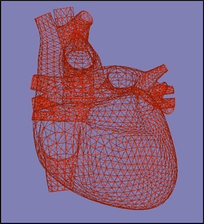 Triangulated heart and torso images