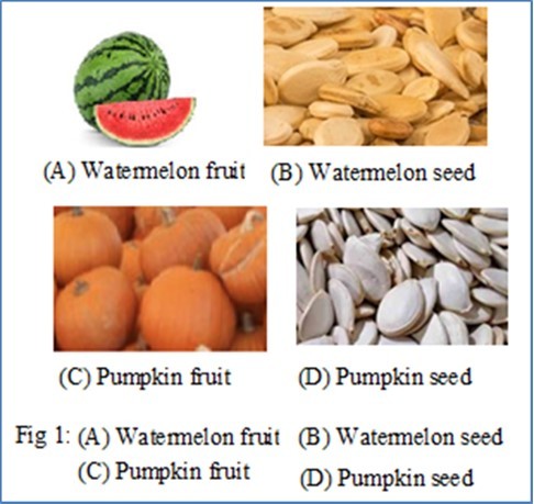 (A) Watermelon fruit, (B) Watermelon seed, (C) Pumpkin fruit, (D) Pumpkin seed