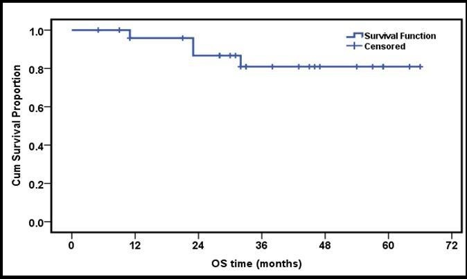 3 years OS of the whole group of patients