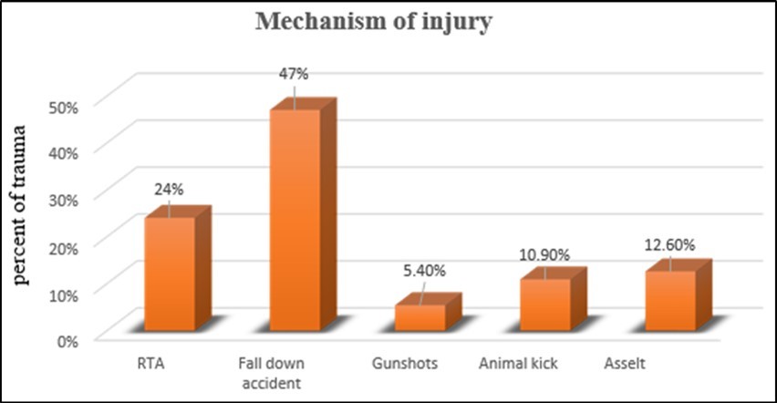 mechanism of injury among pediatrics TBI who visited in Amhara regional state CSHs from January 1,2019 to December 30,2021 GC.