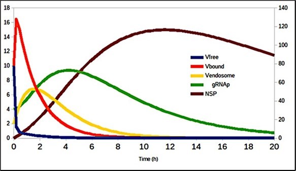 Evolution of virus transmission dynamics in the cell entry process (de- tails in 20).
