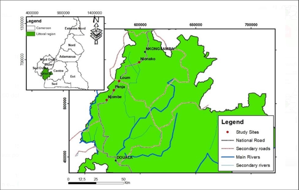 Location of the study area and hydrographic network.