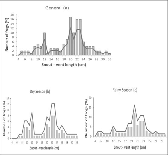Size frequency distribution of Conraua goliath depending on the: (a) total population; (b) dry season, and (c) rainy season in its natural environment: