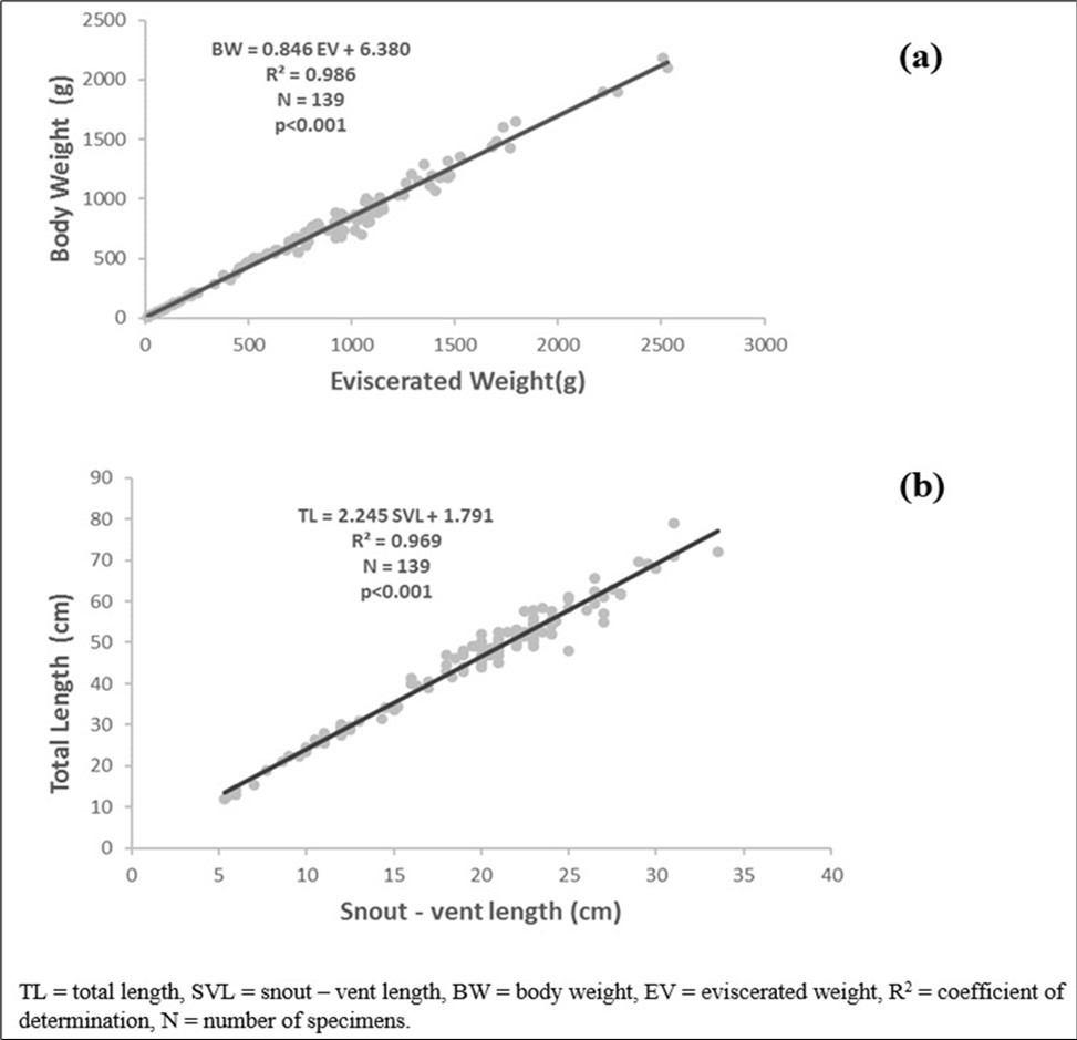 Total weight-eviscerated weight relationships (a), Total length- snout vent length relationship (b) of Conraua goliath in its natural environment.