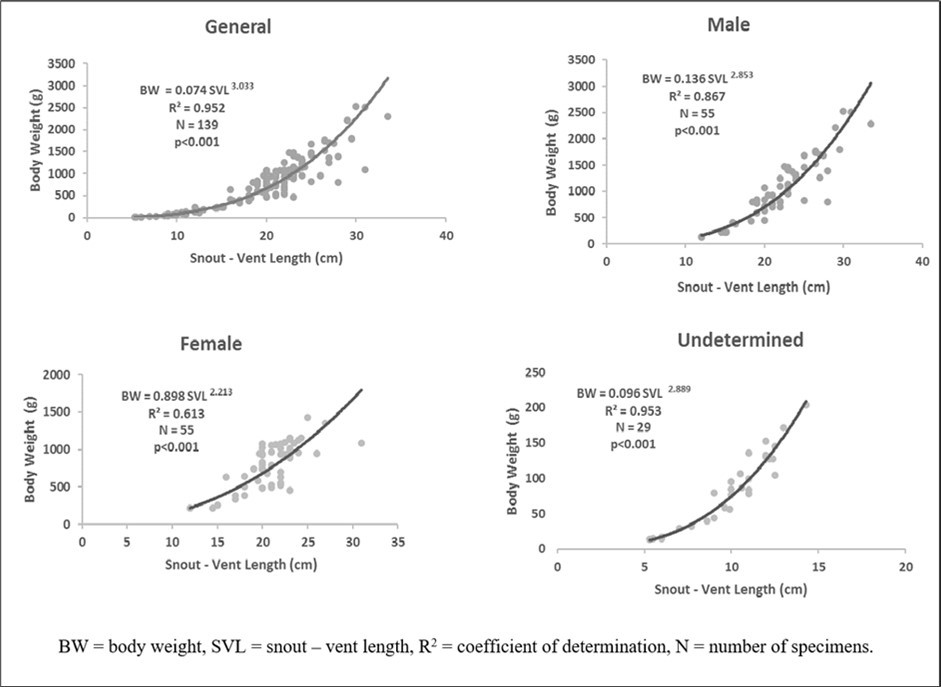 Body weight – snout – vent length Relationship of Conraua goliath depending on sex in its natural environment