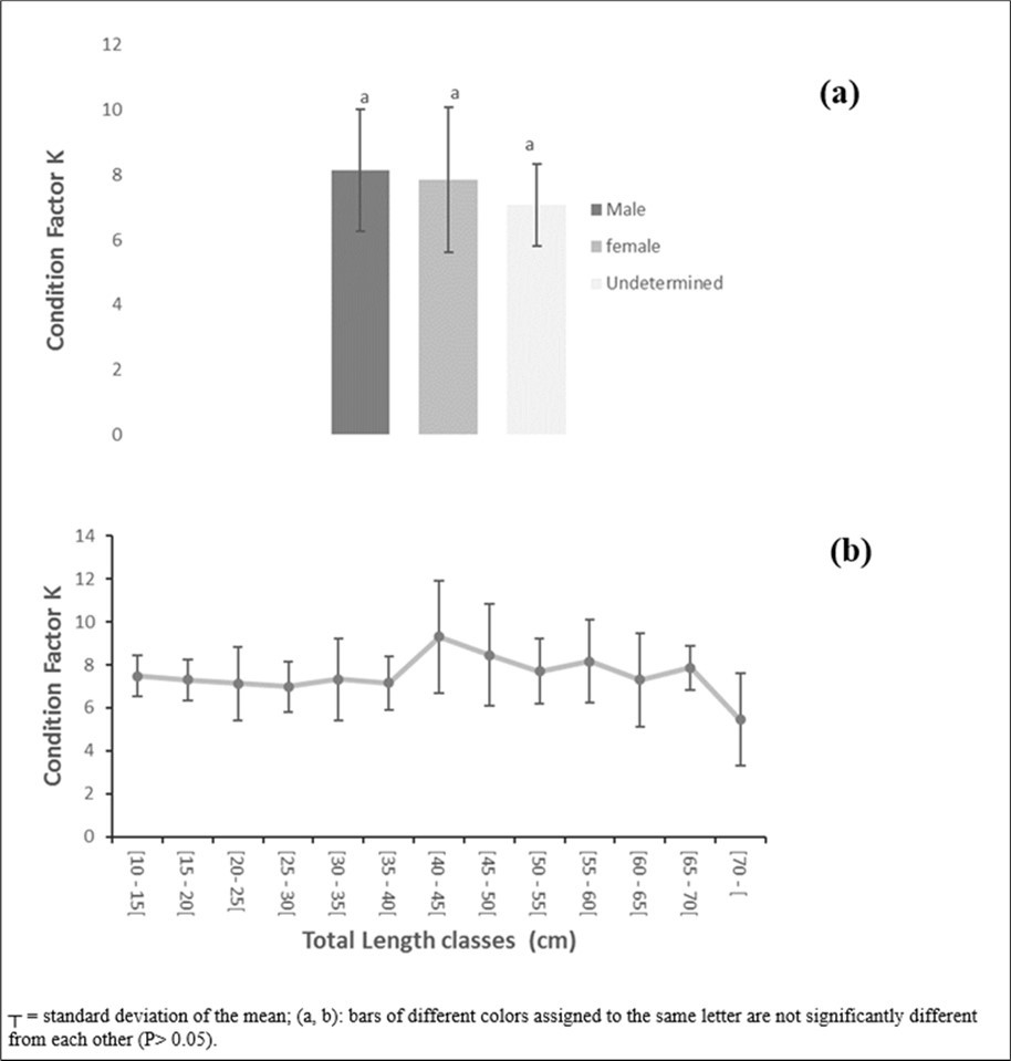 Condition factor K depending on the sex (a) and size (b) in Conraua goliath