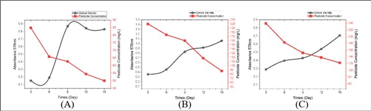 Graph of OD Value and Pesticide Concentration Bacillus altitudinis: A) Pesticide Concentration 100mg/L; B) Pesticide Concentration 200mg/L; C) Pesticide Concentration 300mg/L.