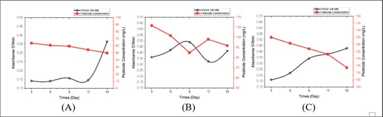 Graph of OD Value and Pesticide ConcentrationPseudomonas b70: A) Pesticide Concentration 100mg/L; B) Pesticide Concentration 200mg/L; C) Pesticide Concentration 300mg/L.