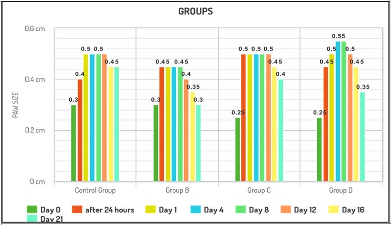 Graphical representation of paw size of all the Groups at Day 0, after 24 hours of formalin injection, Day 1,4,8,12, 16 and 21