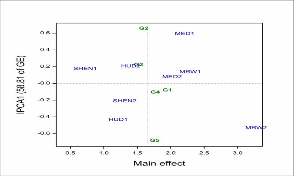 AMMI 1 biplot of first interaction principal component axis (IPCA1) for mean seed yield t/ha.