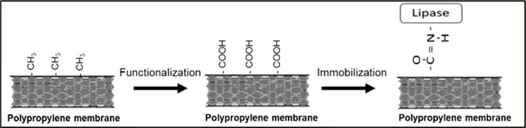 Functionalization of methyl groups to carboxyl groups on polypropylene via potassium dichromate. Modified after Hermanson 10.