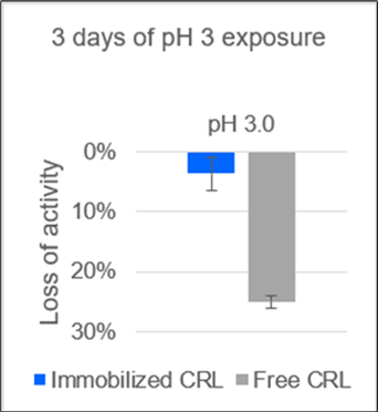 Activity losses of the immobilizate of lipase from Candida rugosa (CRL) on polypropylene.membrane and of free CRL solution after storage for 3 d at 4°C at pH 3. The enzyme stability to acidic pH shows a significant increase by immobilizing the enzyme.