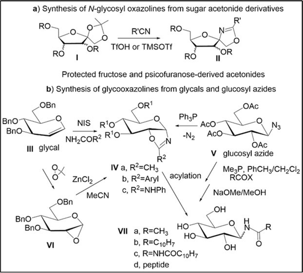 Stereoselective synthetic routes to N-glycosyl oxazolines from different carbohydrate precursors