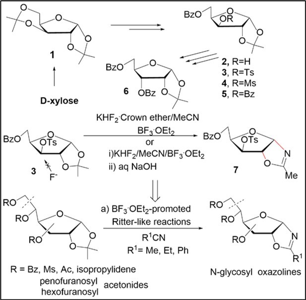Synthetic study of N-glycosyl oxazolines from sugar acetonides