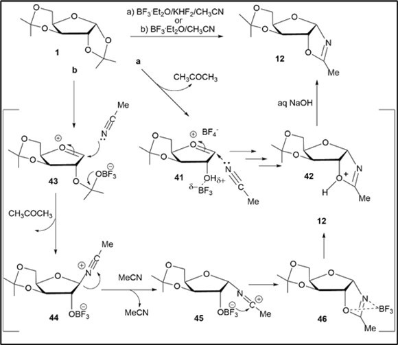 Proposed intermediates during BF3.Et2O-promoted reactions of diacetonide 1 with acetonitrile