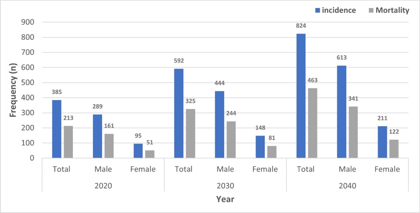 Projection of colorectal cancer cases in Oman 2030 and 2040