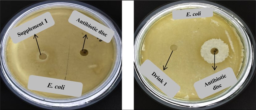 Antagonistic activity of Supplement 1 and drink 1