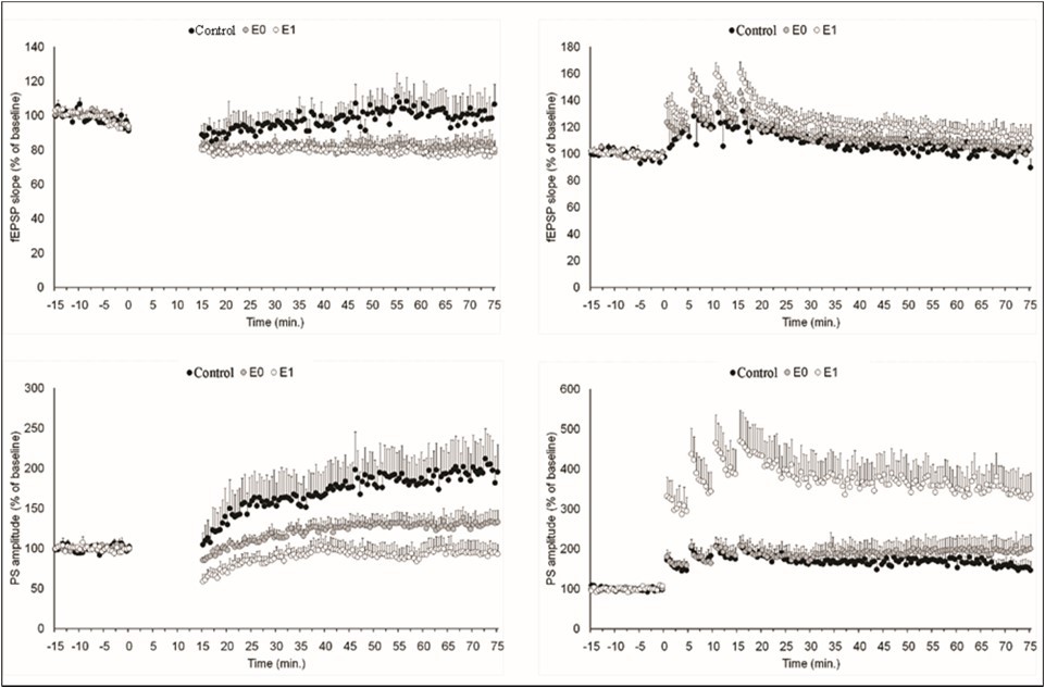 Pain modulation of neuronal long-term potentiation induced by low-frequency stimulation and high-frequency stimulation. Left Panel: The perforant pathway of control rats (black circle) and rats with dentin erosion (empty circle and grey circle: erosion with or without painful stimulus, respectively) was stimulated by electrical pulses at 1Hz for 15 min (0-15 min). It is noteworthy that the field potentials of rats with dental erosion followed the stimulation with a smaller slope and smaller amplitude compared to the control group. Right Panel: The perforant pathway of control rats and rats with dentin erosion was stimulated by electrical pulses at 100Hz four times for 15 min (0-15 min). It is noteworthy that the field potentials of rats with dental erosion followed the stimulation with higher amplitude compared to the control group when pain sensation is evoked.