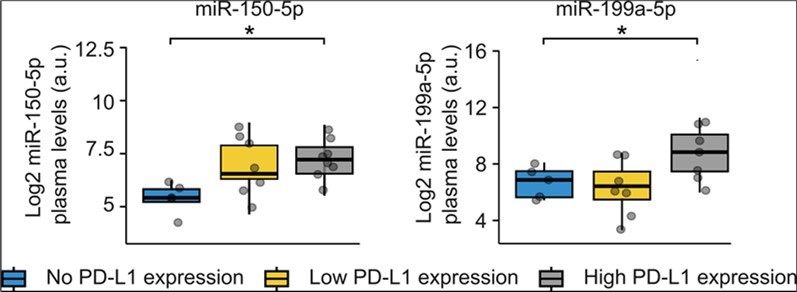 Analysis of miRNA expression depending on PD-L1 expression. Statistical differences were tested with the Games-Howell-post hoc test. *: p < 0.05. Data from cohort 3 (Table S6).
