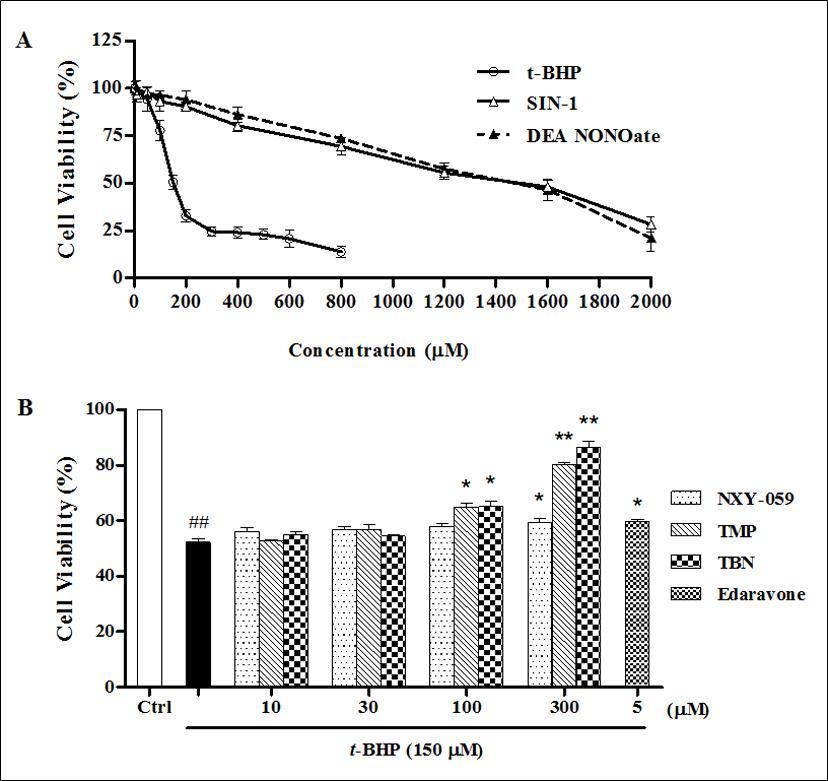 Effect of t-BHP, SIN-1 and DEA NONOate on H9c2 cell viability (A). H9c2 cell viability was decreased by t-BHP (10-800 μM), SIN-1 (10-2000 μM) and DEA NONOate (10-2000 μM) in a concentration-dependent manner which measured by MTT method. Comparison of cytoprotection against t-BHP induced cell death
(B). H9c2 cells were pretreated with NXY-059, TMP, TBN (10-300 μM) or edaravone (5 μM) for 2 h, respectively. Then cells were co-incubated with 150 μM t-BHP for another 24 h. The cell viability was measured by MTT method. ###p < 0.001 vs control group. *p < 0.05, **p < 0.01 compared to 150 μM t-BHP group. The results were the mean ± SD of three independent experiments.
