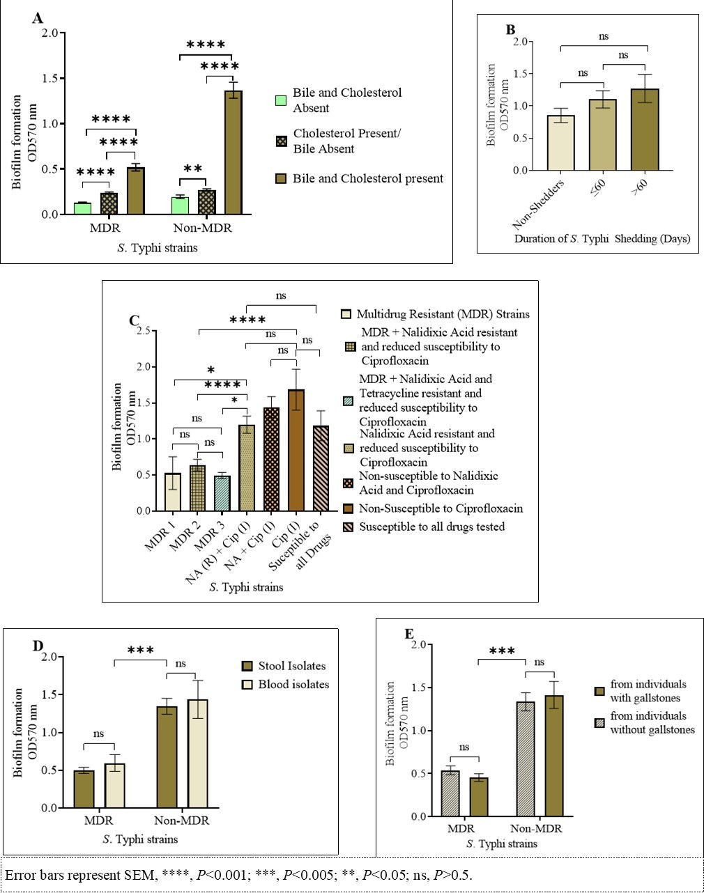 S. Typhi biofilms. (A) Quantity of biofilms after growth in presence/absence of cholesterol and/or bile. (B) Biofilm formation by S. Typhi isolated from non-shedders, patients shedding for one and/or two months (≤ 60days) and from patients shedding the bacteria during and/or after the third month (>60 days). (C) Biofilm formation by MDR and non-MDR strains. (D) MDR and non-MDR strains isolated from blood vs. stool, and (E) strains isolated from individuals with gallstones vs. participants without gallstones