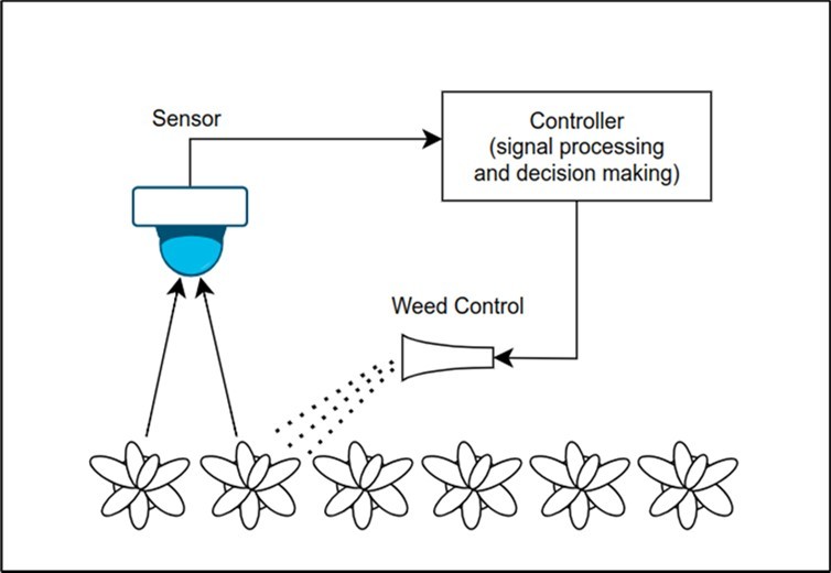 Intuitive Diagram of automated weed detection and site-specific herbicide Application