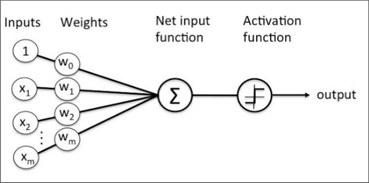 Perceptron: one of the simplest neural network architectures