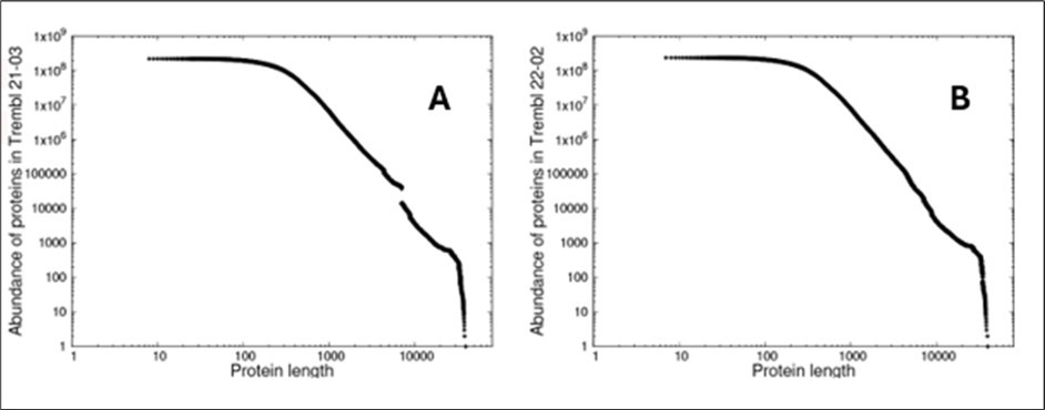 The distribution of lengths of proteins measured in amino acids in TrEMBL, A) Release 21-03 illustrating the clear departure from the equilibrium predicted by CoHSI and due to the uploading of considerable selective work on the SARS-COV-2 virus and B) Release 22-02 12 months later when the equilibrium was essentially restored.