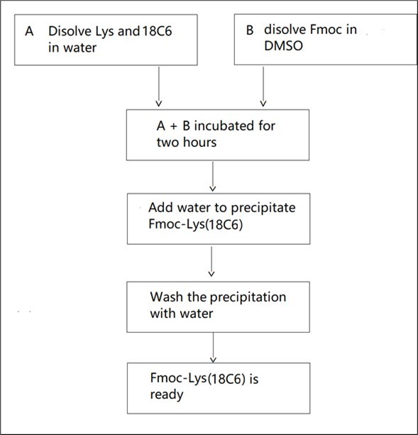 Flow chart for making Fmoc-Lys(8C6)