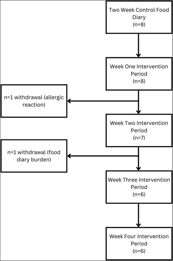 Participant flow diagram