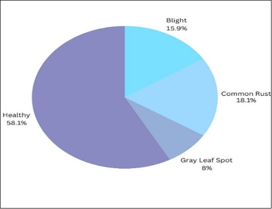 Corn Leaf Disease varieties and their Distribution