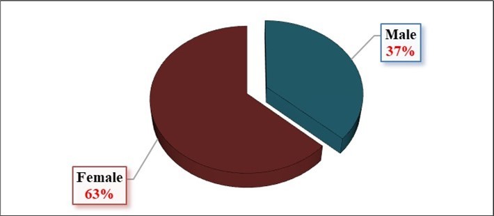 Breakdown of study population by Gender