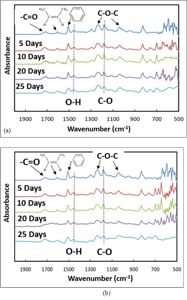 FTIR spectra for (a) vapor phase and (b) liquid phase after 30 days exposure in 35 mass% HCl-water cyclic concentration at 40ºC