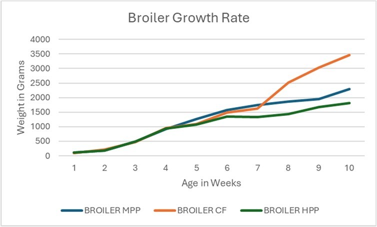 weekly weight gain of broilers