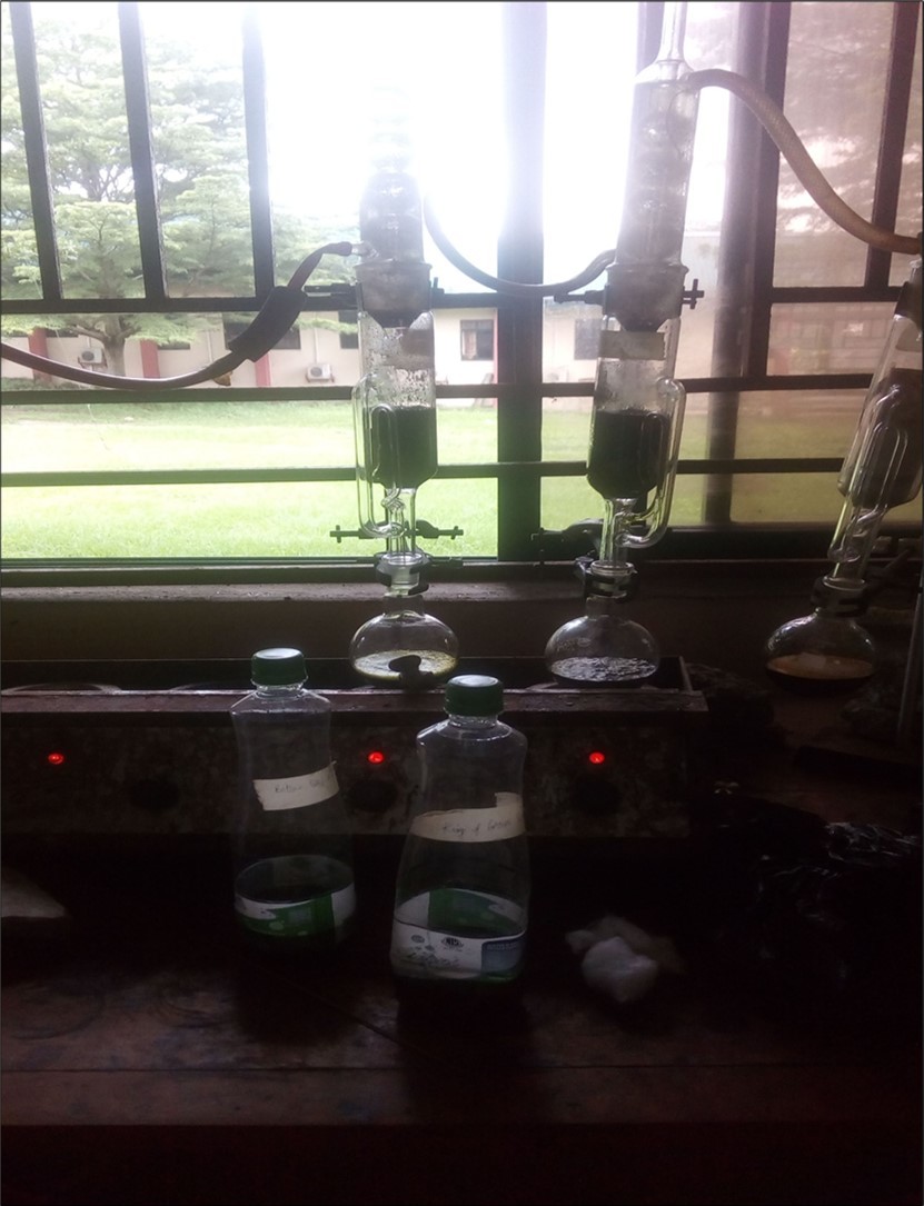 Extraction of plant leaf oils