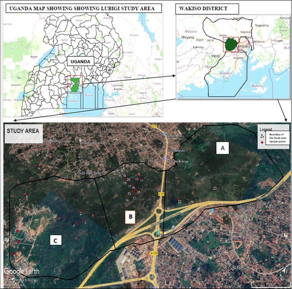 Map showing the study area and sampled sites-Lubigi wetland