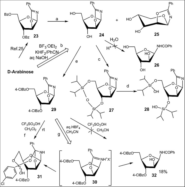 Synthesis of 2-phenyl substituted N-β-D-glycosyl oxazolines of arabino configuration and acylated N-benzoyl-β-D-arabinofuranosylamide from d-arabinose. Reagents and conditions: a) 23, NH3/MeOH, rt, 18 h, 24, 74%; b) D-arabinose, PhCN, KHF2, BF3.Et2O, rt, 4 h 10 min, CC, 24, 56%, 25, 10%; c) 24, (iPr2SiCl)2O, Py, rt, 27, 98%; d) 27, CH2Cl2, aq. 33% HCl, 27, 88%; e) 24, 4ClBzCl, Py, rt, 29, 89%; f) 29, CF3SO3OH, CH2Cl2, rt, 31, 25%; g) 29, aq. HBF4, CH3CN, 00→ rt, 20 h, 20 h, 31, 19%, 32, 32%, recovery 23% of 29.