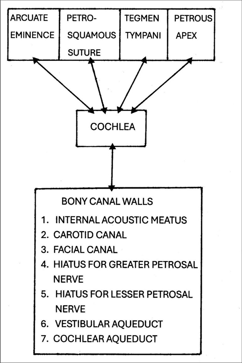 A schematic diagram highlighting some of the anatomical landmarks, structures and boundaries within the petrous bone from which bone- conducted signals might rebound and therefore be diverted or re-directed back towards the cochlea.