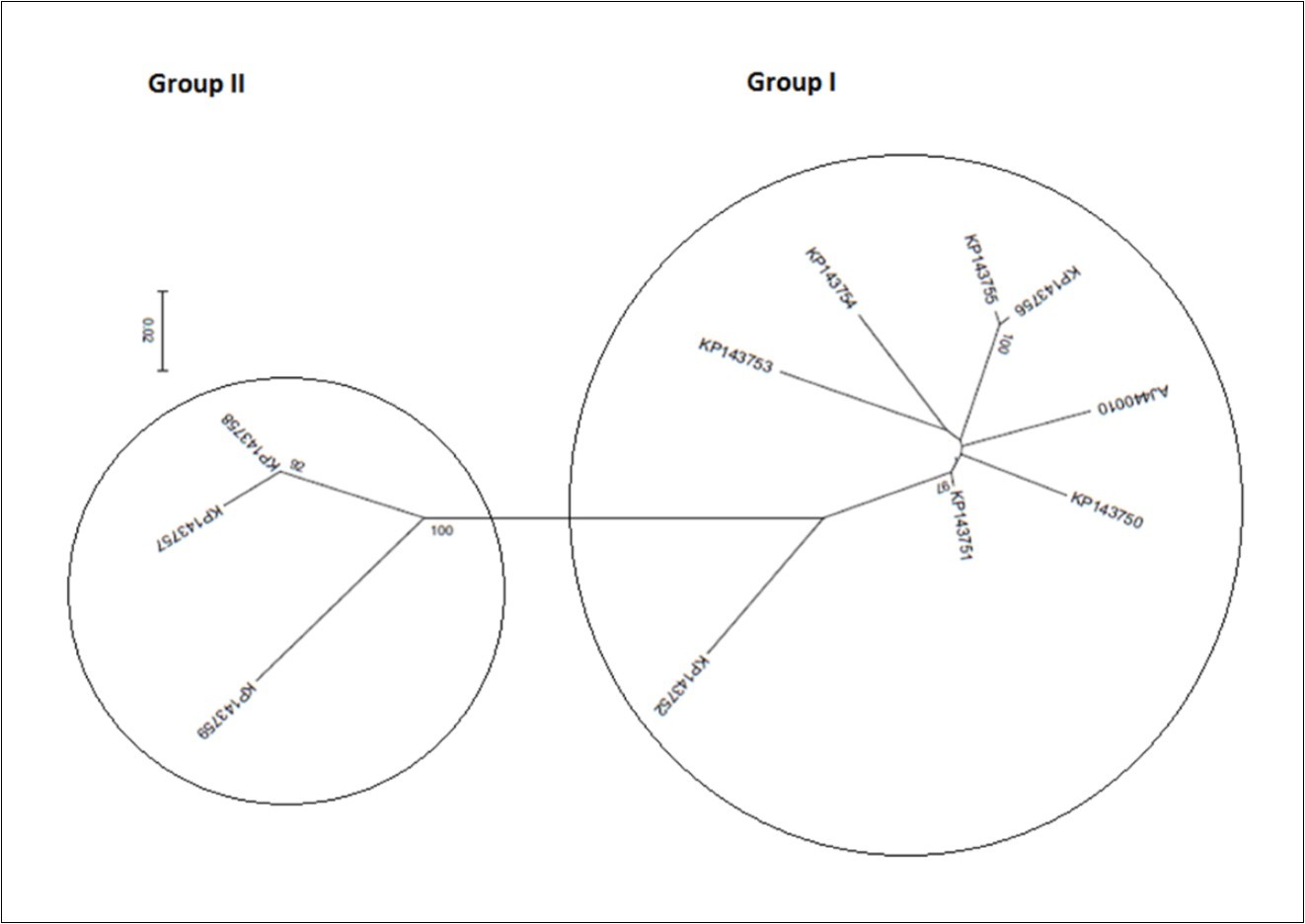 Radial representation of the phylogenetic relationship among 11 isolates of OLYaV based on the nucleotide sequence of the entire segment of HSP70h partial gene (a) and of divided segments at breakpoints, i.e. segments 1-99 bp