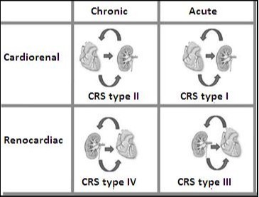 Types of Cardiorenal syndrome. Note that this classification stages depend on if it is acute failure or chronic heart and if the insult is initially cardiac or renal.