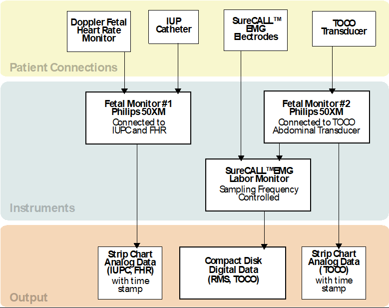 Configuration of the instruments applied to the subject for simultaneous recording and comparison.