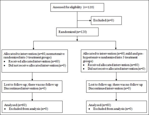 Flow chart demonstrating participant recruitment, randomization and retention.