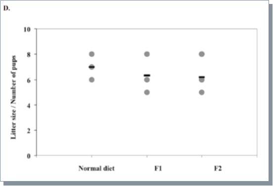 Averaged litter size of 1st and 2nd generations from 15N labeled female mice using the adaptation scheme or female mice fed with the normal chow. Three litters were measured per group.